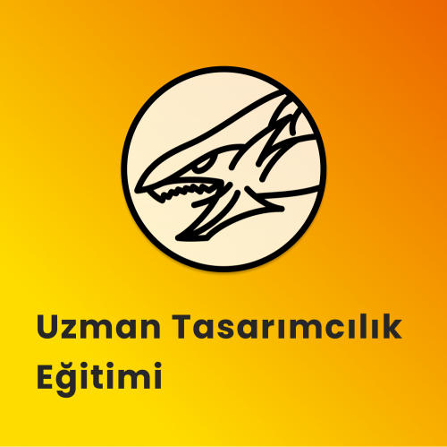Uzman Tasarımcılık Eğitimi